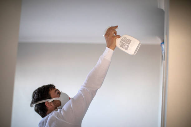 Best Residential Mold Removal  in Mount Healthy Heights, OH
