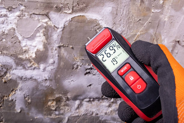 Best Attic Mold Removal  in Mount Healthy Heights, OH