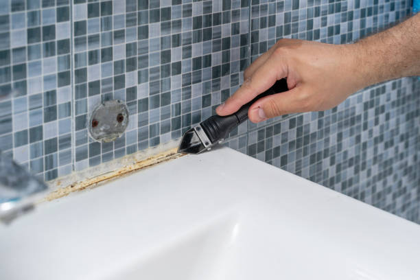 Best Same-Day Mold Removal  in Mount Healthy Heights, OH