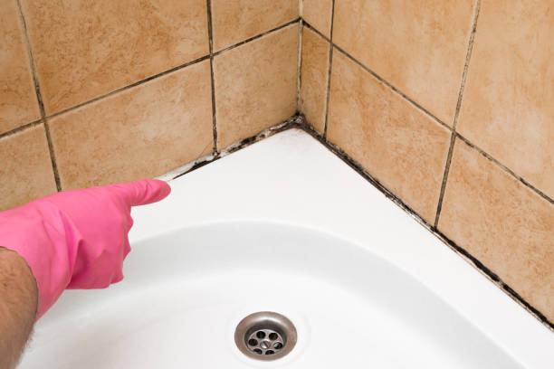 Best Mold Testing  in Mount Healthy Heights, OH
